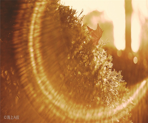 為什么大家喜歡在4月份裝修房子呢？